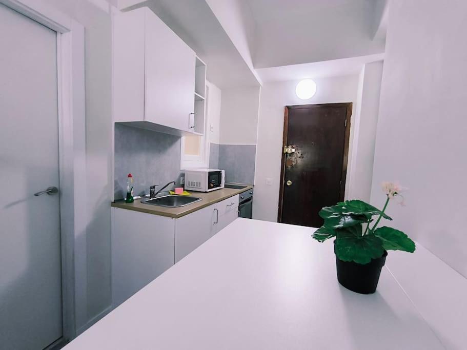 Apartamentos Carrillo 7 سانتا كروز دي تينيريف المظهر الخارجي الصورة